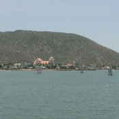 De Nguyens foto