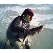 Sandra Rebane's photo