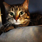 Shelley Sparkman's photo