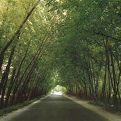Tasnim Hamza's photo