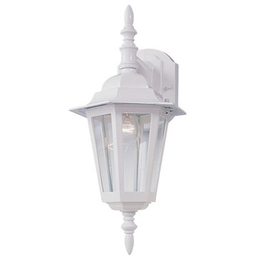 Builder Cast 1-Light Outdoor Wall-Mount Sconce, White, Clear