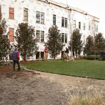 Greening the urban jungle