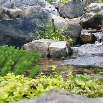 Pondless Waterfall For the Birds Pond Stars