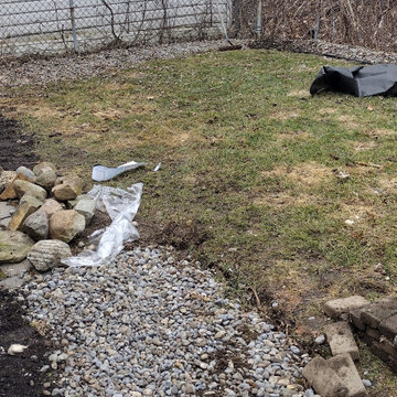 Regina's Dog-Friendly Yard