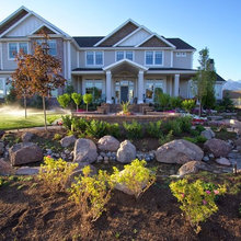 My Yard Ideas