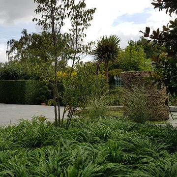 Contemporary Garden