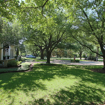 BEFORE Preston Hollow Mediterranean