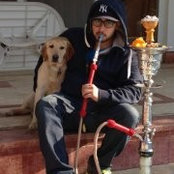 Hadi Kardan's photo