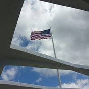 Matthew Shaw's photo