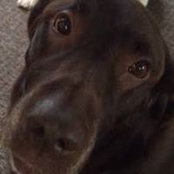 Patricia Suboni's photo