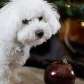 Julie Robson's photo