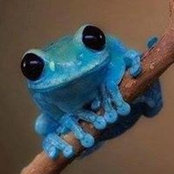 Michele Allen's photo