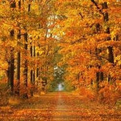 Jane Galatea's photo