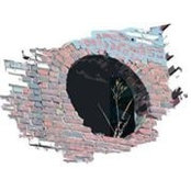 Christine Nelson's photo