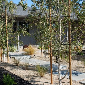 Napa golf course edge contemporary