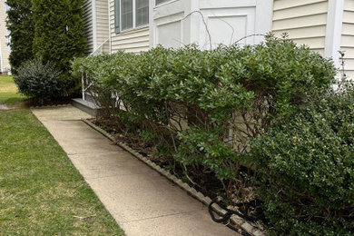 Mendoza Landscaping and Lawn Sercice LLC