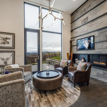 Living room - fireplaces