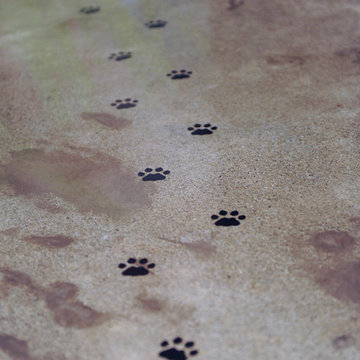 Guildford Animal Hospital