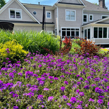 Immersive Color Garden