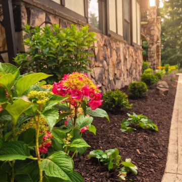 Front Yard Landscaping Installation - Niskayuna, NY