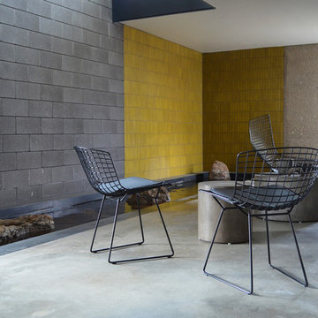 My Houzz: A Modern Approach to Efficient Living in Dallas