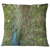 Beautiful Peacock with Feathers Animal Throw Pillow, 18"x18"