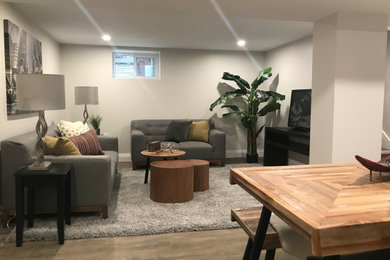 Inspiration for a mid-sized transitional basement remodel in Other