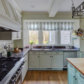 European Style Kitchen Update in Lake Forest