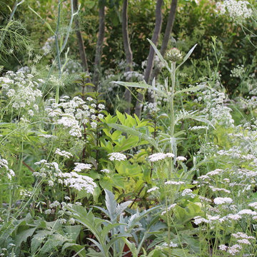 Hampton Court Flower Show