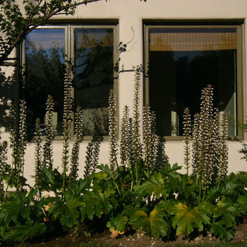 Family Compound