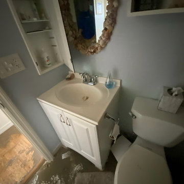 Sanibel Hurricane Renovation