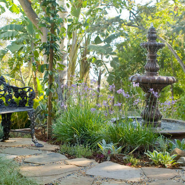 Colorful Shade Garden- Hollywood Hills