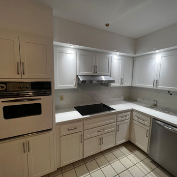 Modern Kitchen Remodel Done in a Shaker Door