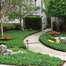 Japanese Garden
