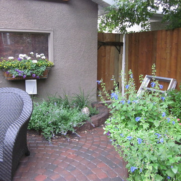 Backyard Jungle Paradise