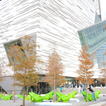 Leap Frog Forest