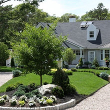 mailbox bed & side yard