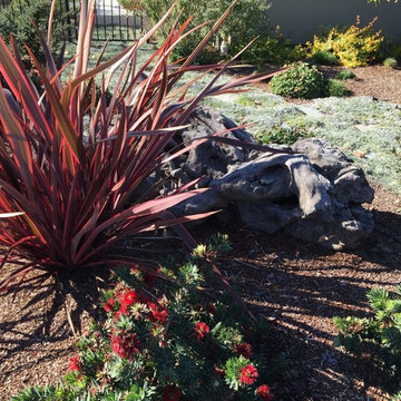 Santa Cruz corner lot remodel