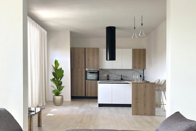 Ispirazione per un cucina con isola centrale contemporaneo