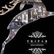 Tripar International Inc's photo
