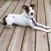 Kevin Dobson's photo