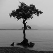 Suzanne Bohannon's photo