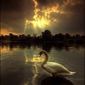 Foto von Bill Maxey