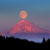 C Wright's photo