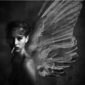 Femia's photo