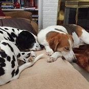 Jennifer Vick's photo