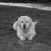 Paul Darmos's photo