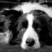Patti Bigelow's photo