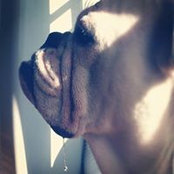 Daniel Leeb's photo