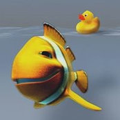 Quocanh Hoang's photo